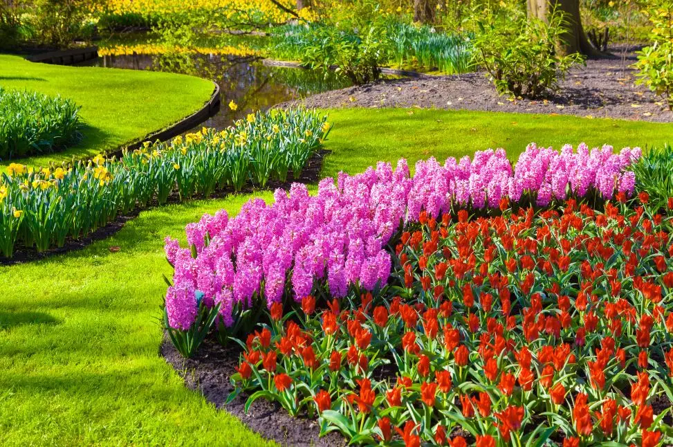 A garden with vibrant flower beds featuring lines of pink, purple, red blossoms. The green, lush lawn encircles the flower beds, with leafy bushes and trees in the background. A small stream partially visible adds to the tranquil scene.