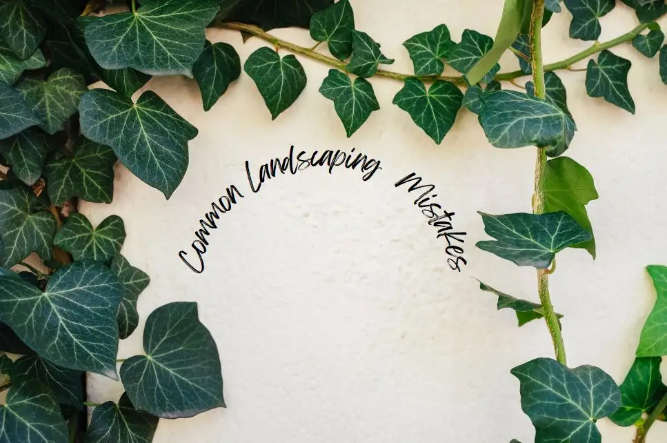 A white wall is partially covered with green ivy leaves, and text arching in the center reads "Common Landscaping Mistakes" in a handwritten font.